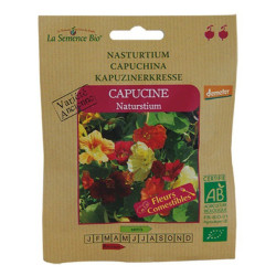 GRAINES BIO -CAPUCINE NASTURTIUM