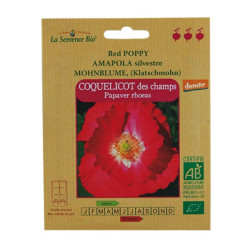 GRAINES BIO -coquelicot des champs