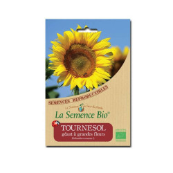 La semence Bio - Tournesol géant