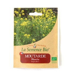 La Semence Bio - Moutarde blanche