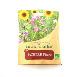 La Semence Bio - Jachère fleurie