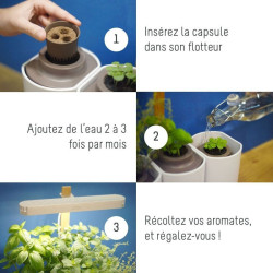 Recharge jardin d'intérieur PRET A POUSSER BASILIC CITRON