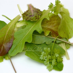 La ferme Sainte Marthe - Ruban de 300 graines Mesclun Niçois