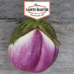 La ferme Sainte Marthe - 50 graines Aubergine Violetta di Firenze