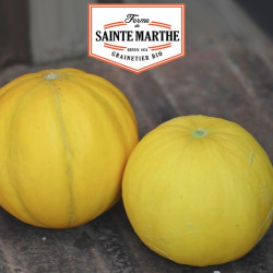 La ferme Sainte Marthe - 15 graines Melon Boule d'Or