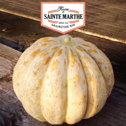 La ferme Sainte Marthe - 15 graines Melon Délice de la table