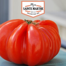 La ferme Sainte Marthe - 50 graines Tomate Beefsteak