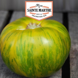 La ferme Sainte Marthe - 50 graines Tomate Green Zebra