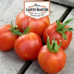 La ferme Sainte Marthe - 50 graines Tomate Pêche