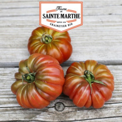 La ferme Sainte Marthe - 50 graines Tomate Purple Calabash