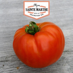 La ferme Sainte Marthe - 50 graines Tomate Reine