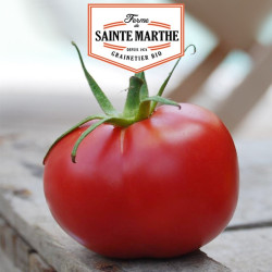 La ferme Sainte Marthe - 50 graines Tomate Rose de Berne