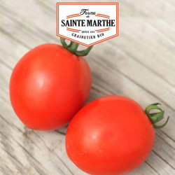 La ferme Sainte Marthe - 50 graines Tomate Siberian