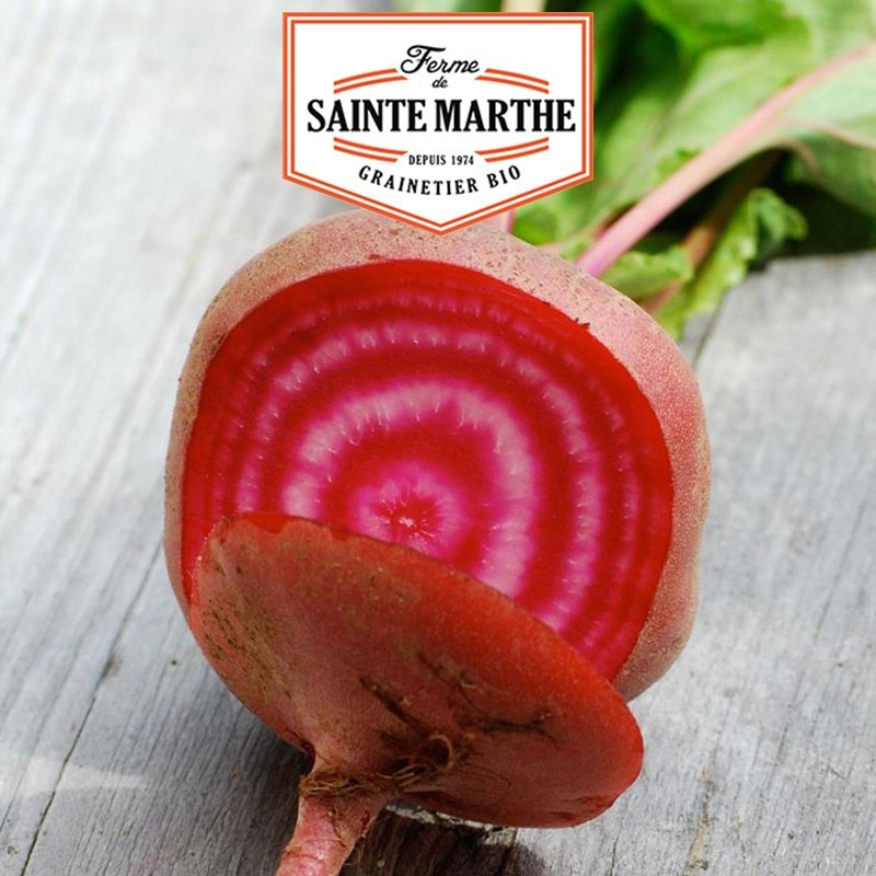 La ferme Sainte Marthe - 150 graines Betterave Chioggia