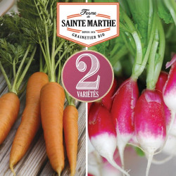 La ferme Sainte Marthe - 1 500 graines Carotte et Radis : Nantaise 2 - de 18 jours