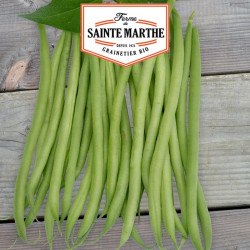 La ferme Sainte Marthe -  10 grammes Haricot Nain Cupidon Filet Sans Fil Mangetout