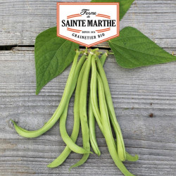 La ferme Sainte Marthe -  10 grammes Haricot Nain Maxi Filet Mangetout