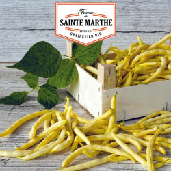 La ferme Sainte Marthe -  80 grammes Haricot à Rames Neckargold Mangetout