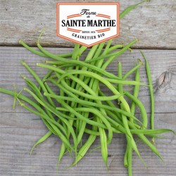 La ferme Sainte Marthe -  80 grammes Haricot Nain Aiguillon Filet Mangetout