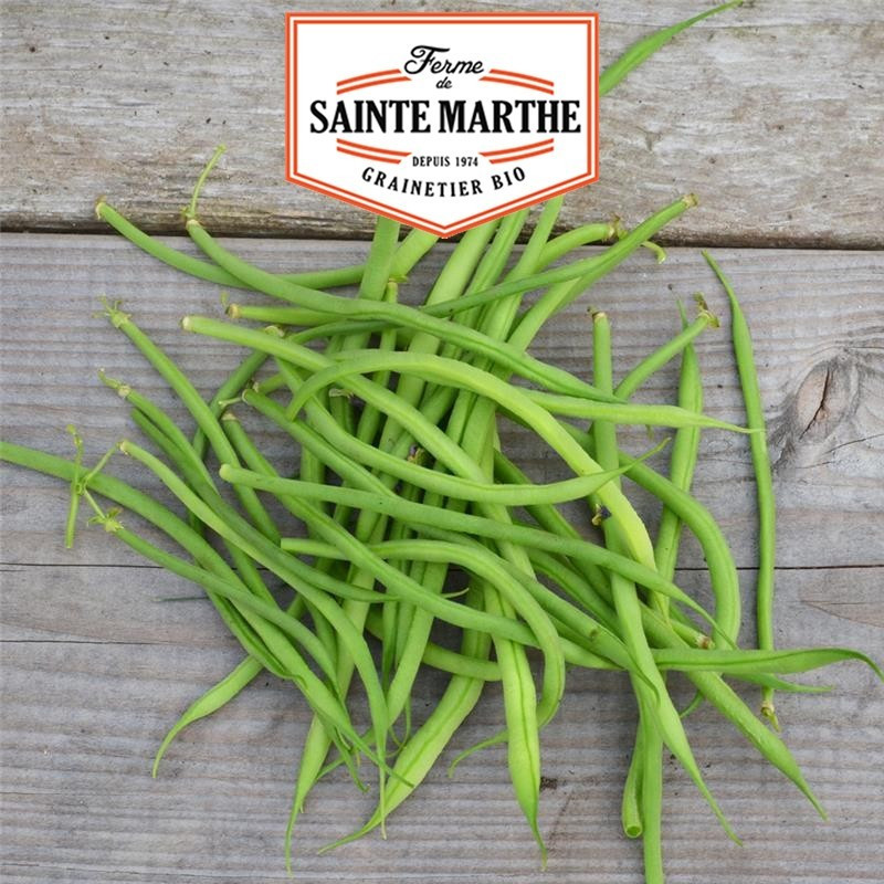 La ferme Sainte Marthe -  80 grammes Haricot Nain Aiguillon Filet Mangetout