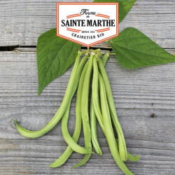 La ferme Sainte Marthe -  80 grammes Haricot Nain Maxi Filet Mangetout
