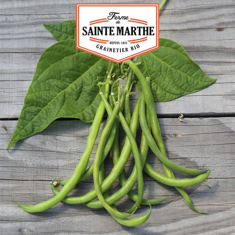 La ferme Sainte Marthe -  80 grammes Haricot Nain Pongo Filet Mangetout