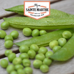 La ferme Sainte Marthe -  80 grammes Pois Nain Merveille de Kelvedon à Grain Ride à Ecosser