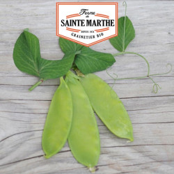 La ferme Sainte Marthe -  80 grammes Pois Nain Norli Grain Rond Mangetout