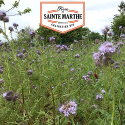 La ferme Sainte Marthe -  500 grammes Mélange Améliorant Annuel