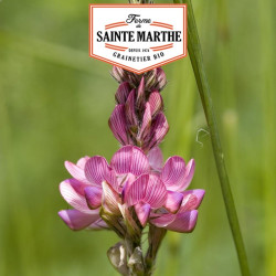 La ferme Sainte Marthe -  200 grammes Sainfoin