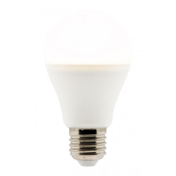 Ampoule LED standard 6W E27 2700K 470 Lumens Elexity