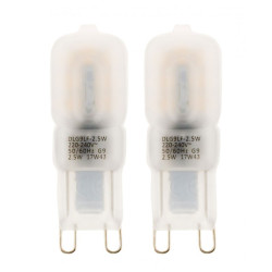 Lot de 2 ampoules LED Pépite G9 2.5W 2700K 200 Lumens Elexity