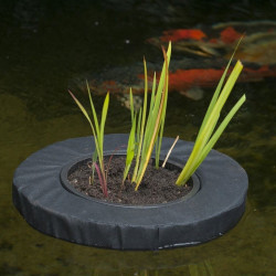 Ubbink - SWIMPLANT îlot pour plantes aquatiques - ø 25 cm