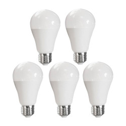 LOT DE 5 ADVANCED STAR AMPOULE LED A60 9W 6500K E27