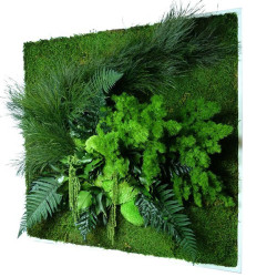 FB STABILISE NATURE CARRE XL
