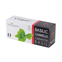 Véritable - Lingot basilic cannelle bio - Graines en recharge prêtes à l'emploi