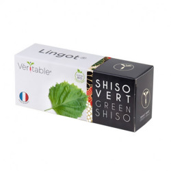 Véritable - Lingot shiso vert bio - Graines en recharge prêtes à l'emploi