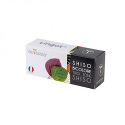 Véritable - Lingot shiso bi color - Graines en recharge prêtes à l'emploi