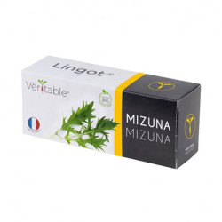 Véritable - Lingot mizuna bio - Graines en recharge prêtes à l'emploi