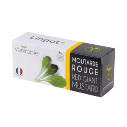 Véritable - Lingot moutarde rouge bio - Graines en recharge prêtes à l'emploi