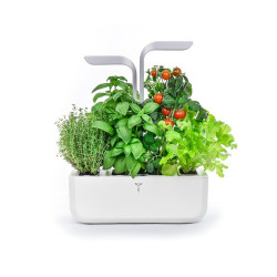 Véritable - Potager de cuisine - Smart Arctic blanc + 4 Lingots