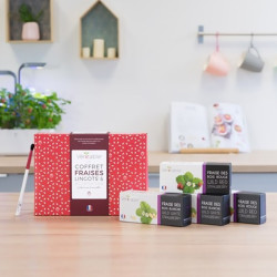 Véritable - Coffret de Lingots fraise + accesoire - Graines en recharge prêtes à l'emploi