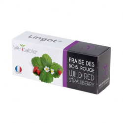 Véritable - Coffret de Lingots fraise + accesoire - Graines en recharge prêtes à l'emploi