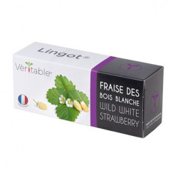 Véritable - Coffret de Lingots fraise + accesoire - Graines en recharge prêtes à l'emploi