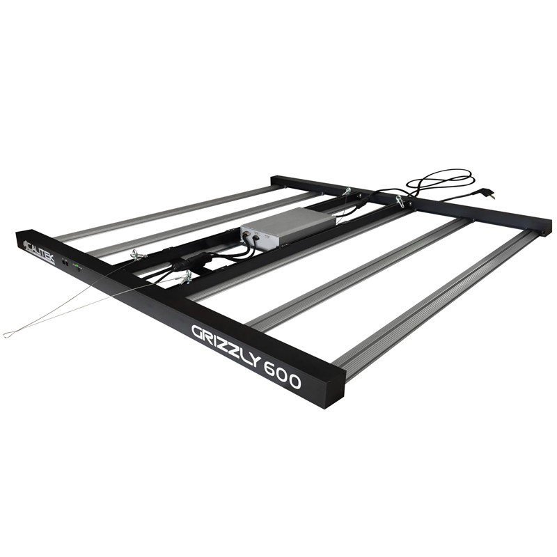 CALITEK LED GRIZZLY 600W
