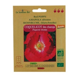 GRAINES BIO -coquelicot des...