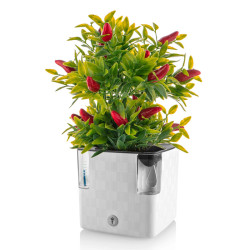 Flower Lover - Pot auto-irrigant - Cobble -14x14x14cm - Blanc cristal