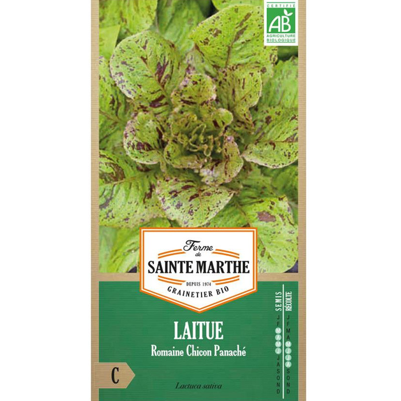 La ferme Sainte Marthe - 500 graines Laitue Romaine Chicon Panache