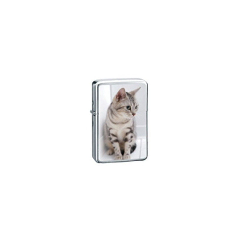 Belflam Oil - Le Briquet Essence Chat Gris Modele 4 Belflam Oil - Le Briquet Essence Chat Gris Modele 4