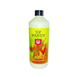 H&G TOP BOOSTER  1L